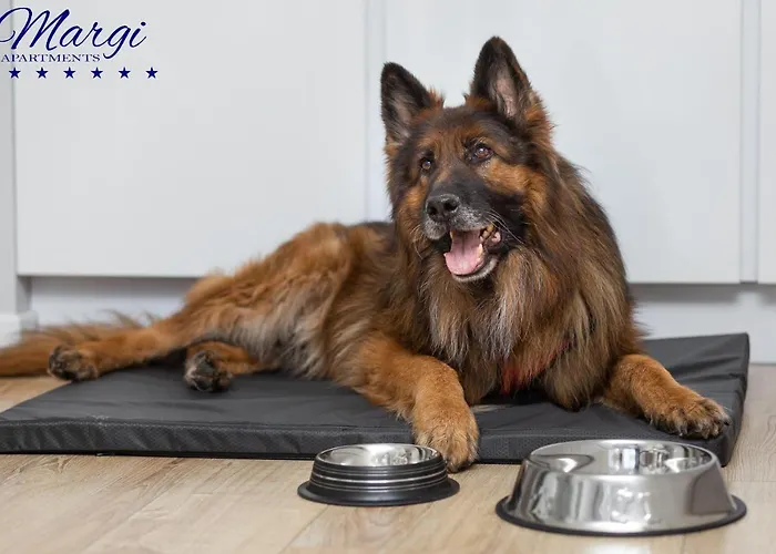 Апартаменты Margi Martini Big Beauti *